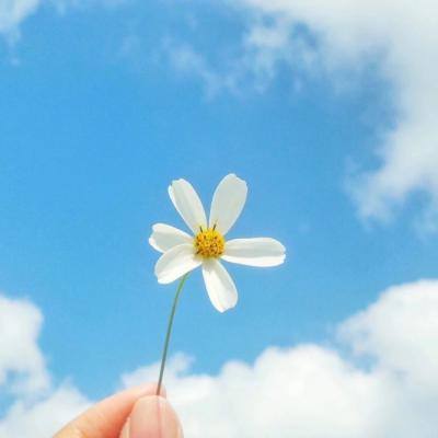 爱游戏app官方网站手机版截图