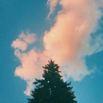 开云·体育(kaiyun)