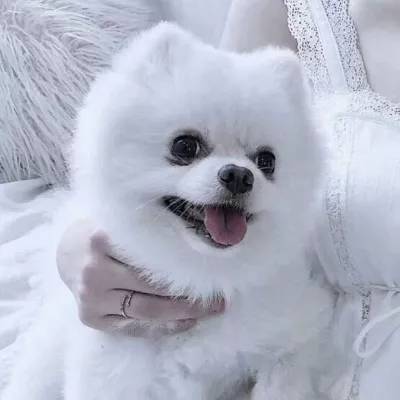 凯发游戏下载手机版