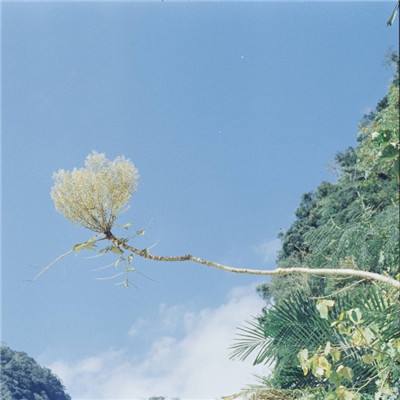 开云·体育(kaiyun)