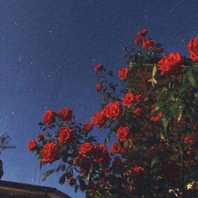 新宝体育官方登录入口