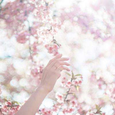 电玩城金鲨银鲨